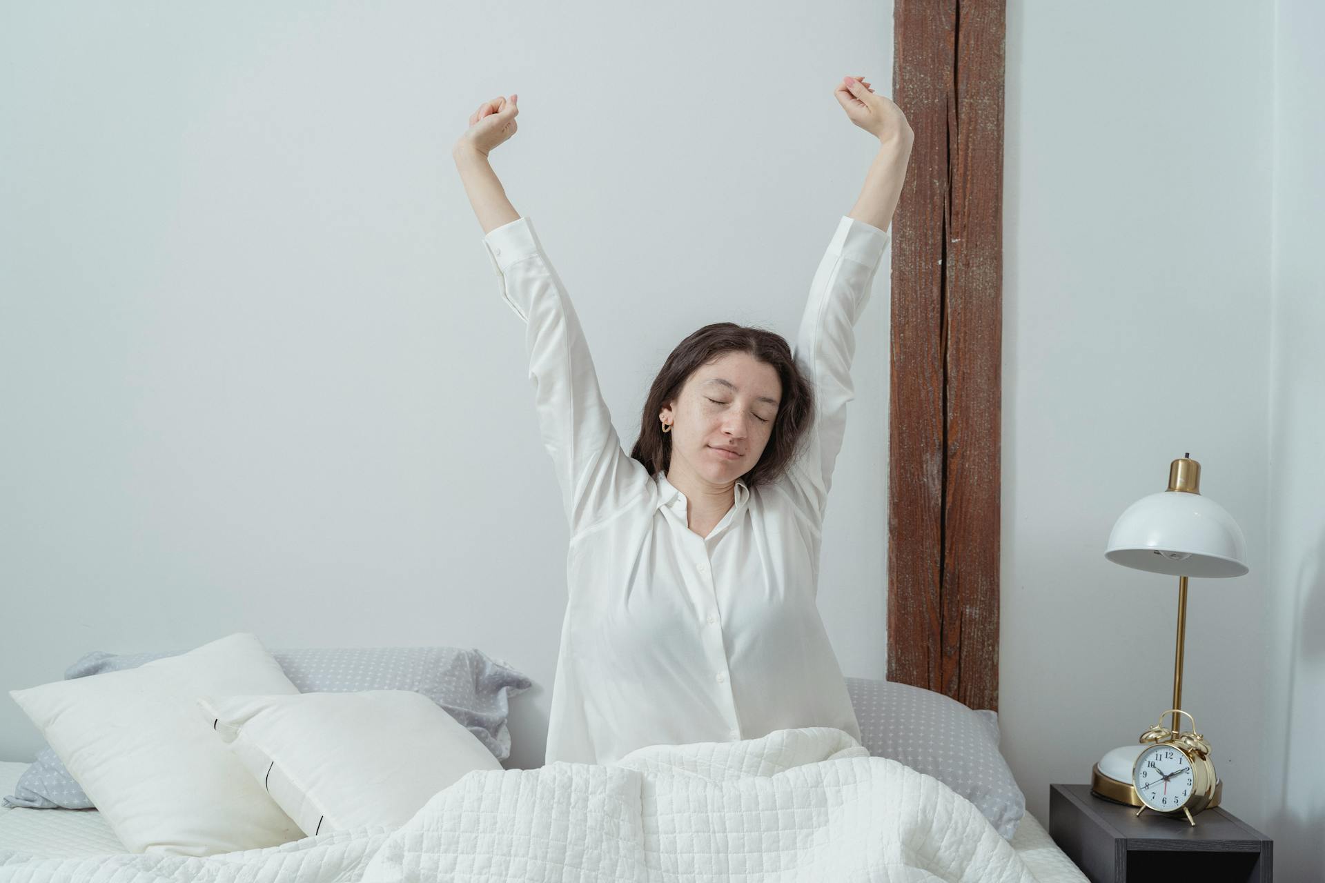 Lire la suite à propos de l’article Insomnie chez l&rsquo;adulte : évaluation et traitement à Madrid